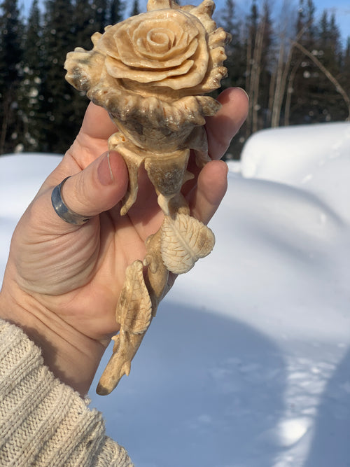 Hand carved Antler Rose