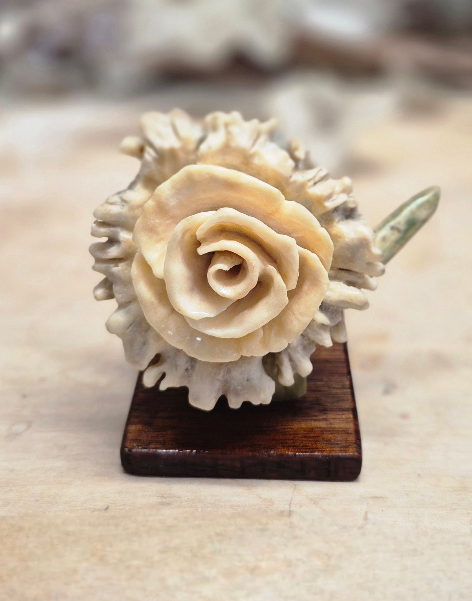Hand carved Antler Rose